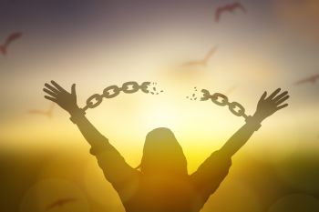 Die Wahrheit wird euch echte Freiheit schenken Die Wahrheit wird euch echte Freiheit schenken