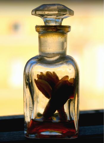 Flakon mit Nardenparfüm Flakon mit Nardenparfüm