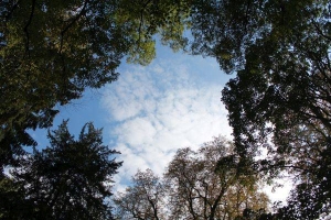 Offener Himmel Tanja Ritter_pixelio.de, offener Himmel
