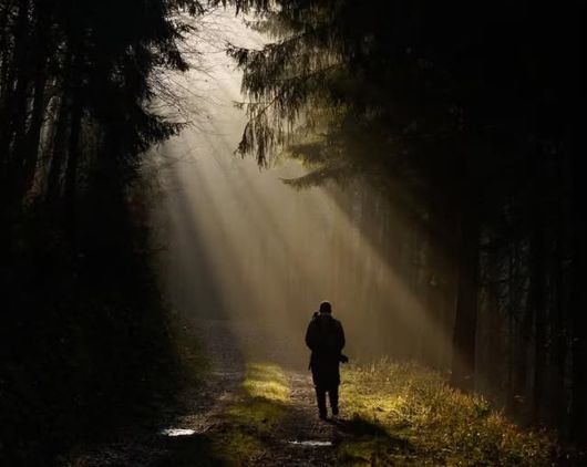 Schatten und Licht Schatten und Licht