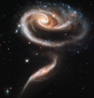 Universum Universum